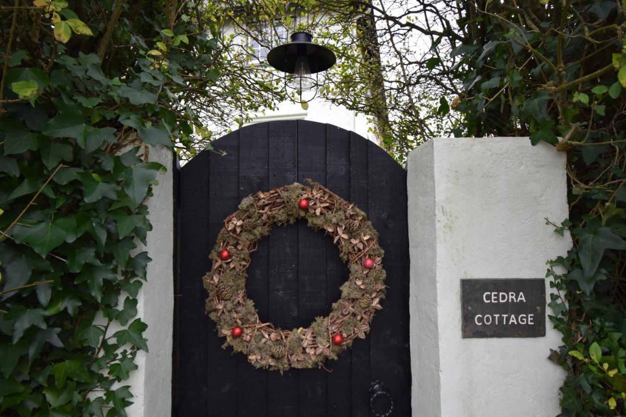 Cedra Cottage - Vintage Country Hideaway Axminster Exterior foto