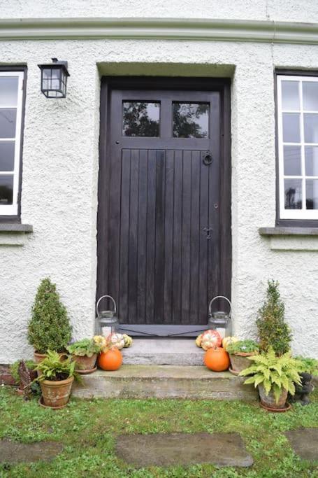 Cedra Cottage - Vintage Country Hideaway Axminster Exterior foto