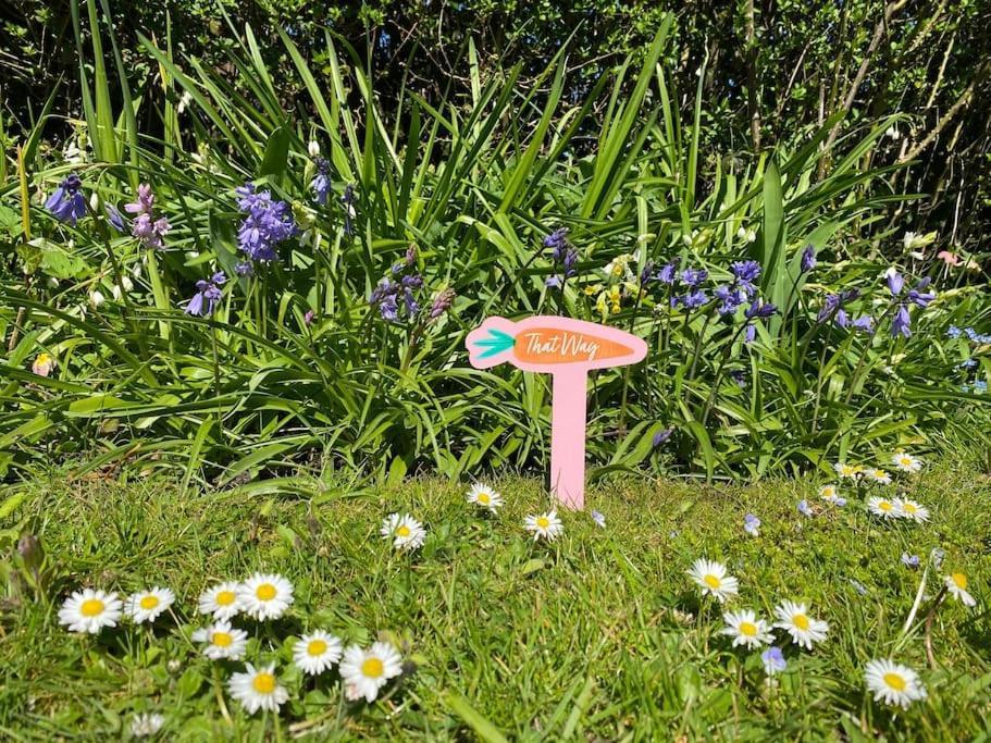 Cedra Cottage - Vintage Country Hideaway Axminster Exterior foto